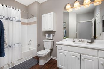 Luxury Bathroom with Spacious Vanity at Thornberry Woods Apartment Homes, Illinois, 60565
